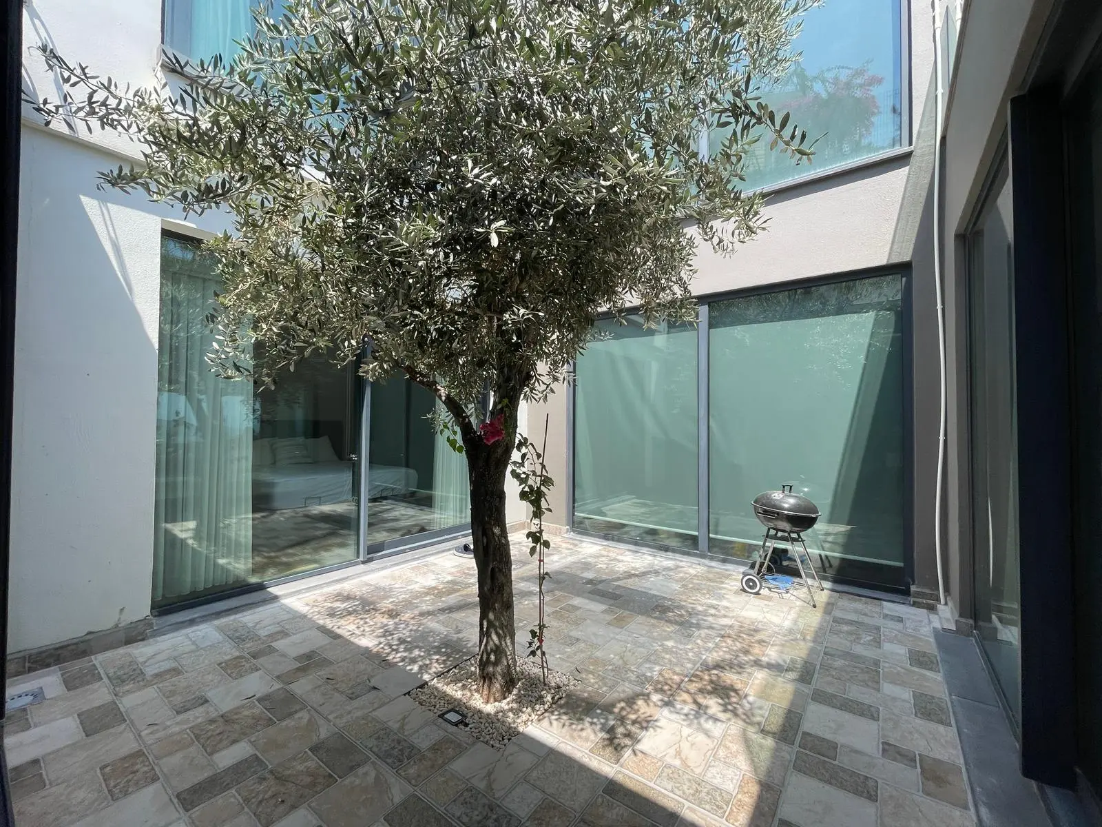 Garden area